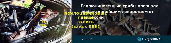 хмурый Струнино