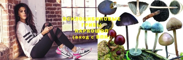 винт Ступино